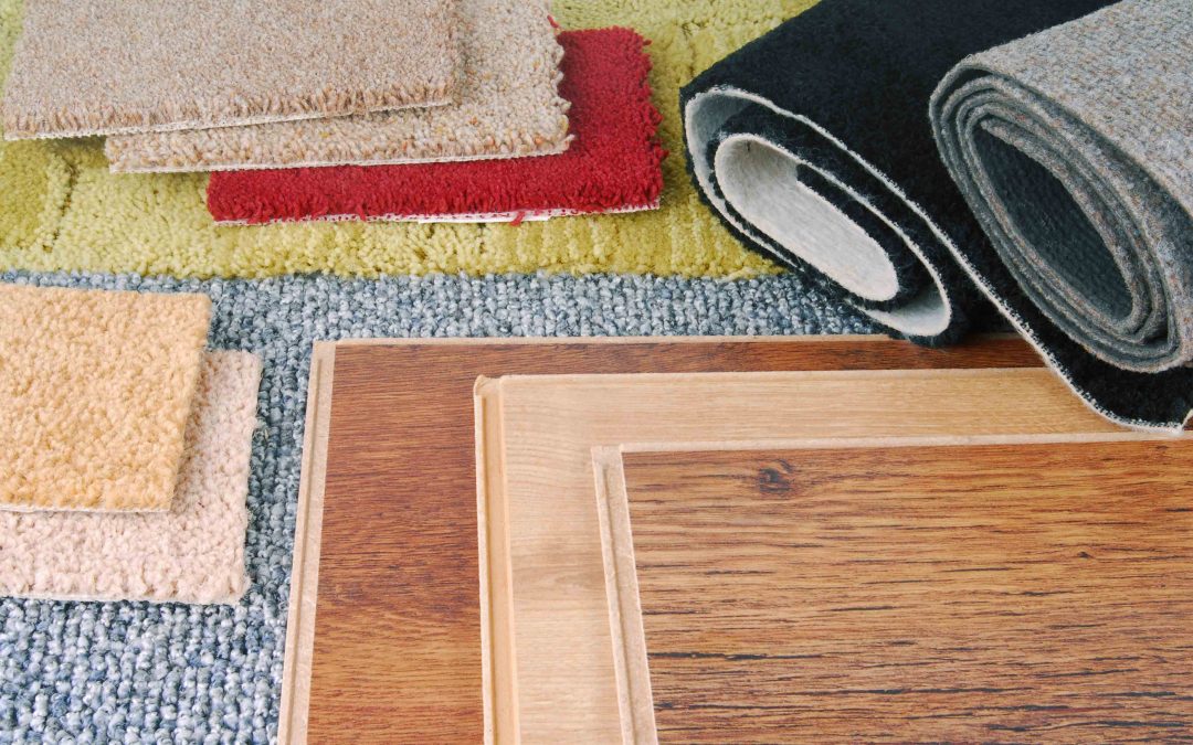 Area Rug Care Guide: How to Clean and Prevent Pet Stains and Odors