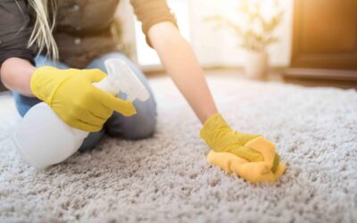 Area Rug Care Tips: How to Make Your Rugs Last