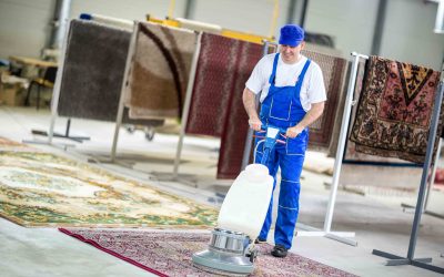 How to Choose an Area Rug Cleaning Service in Everett
