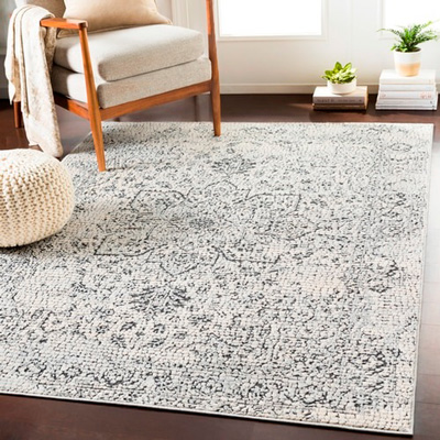 rug area 