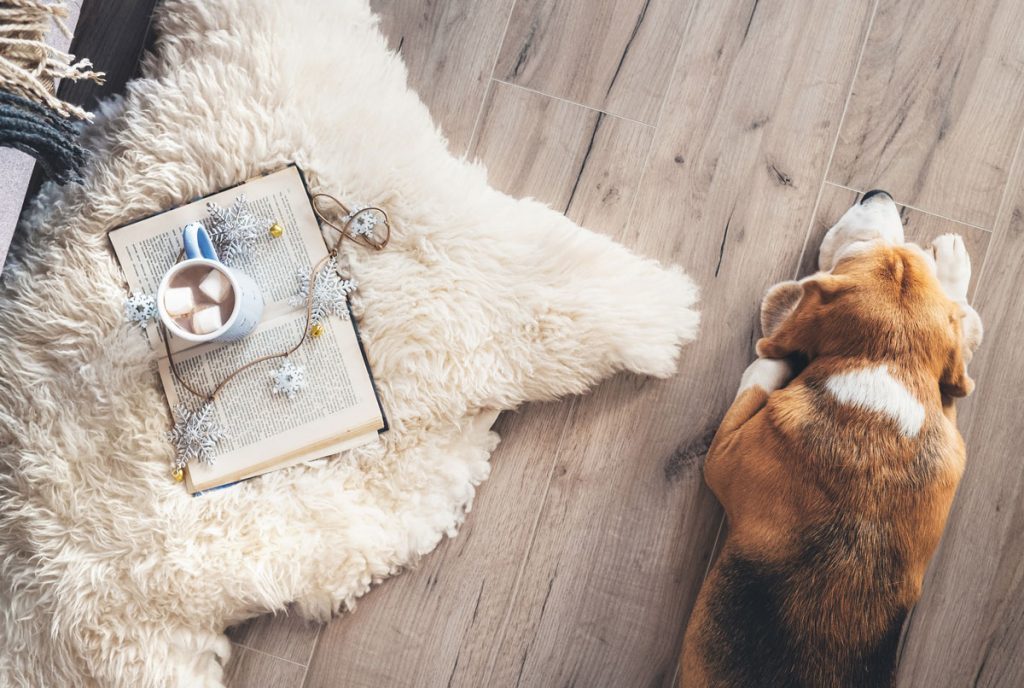 rug protection should include regular brushing