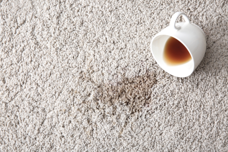 How Professional Rug Cleaning Solves and Deters Mold in Your Rugs