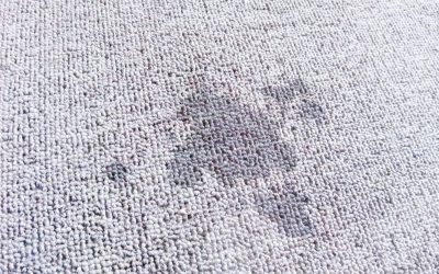 Rug Cleaner Service for Getting Grease Stains Out
