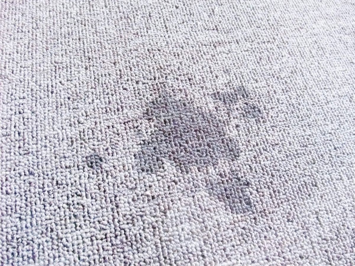 rug grease stain