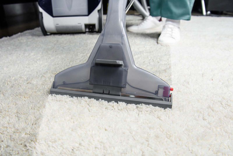 area rug cleaner