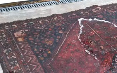 How to Repair Water Damage Using Correct Rug Cleaning Techniques